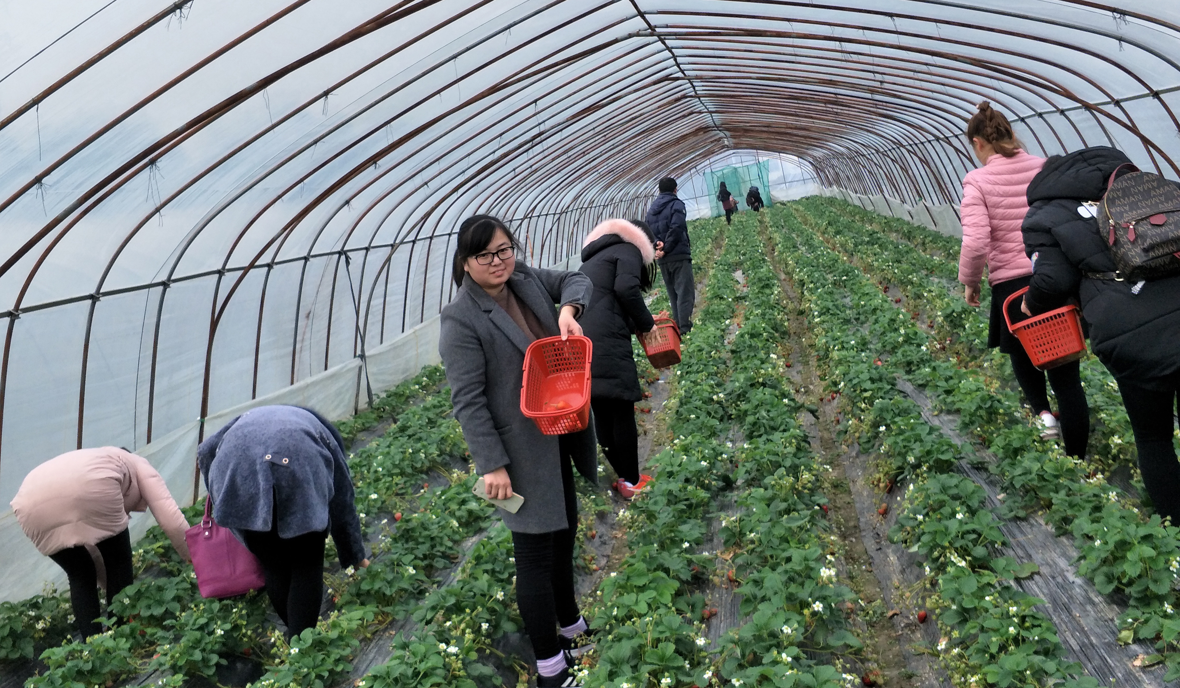 Z6·尊龙凯时「中国」官方网站