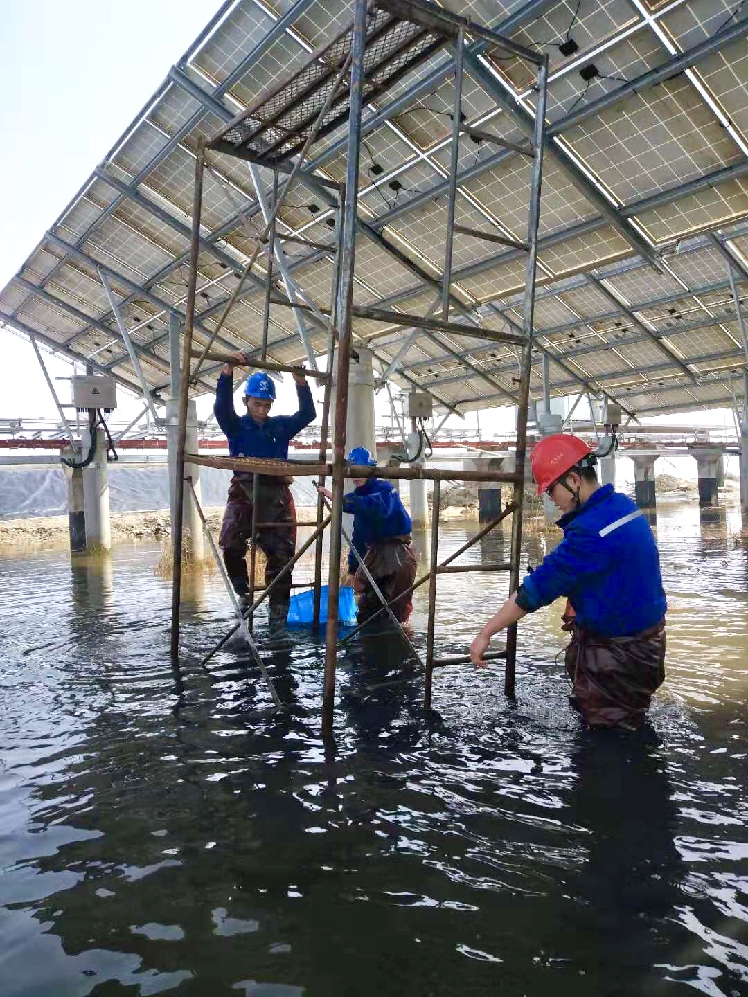 Z6·尊龙凯时「中国」官方网站