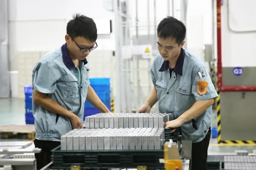 Z6·尊龙凯时「中国」官方网站