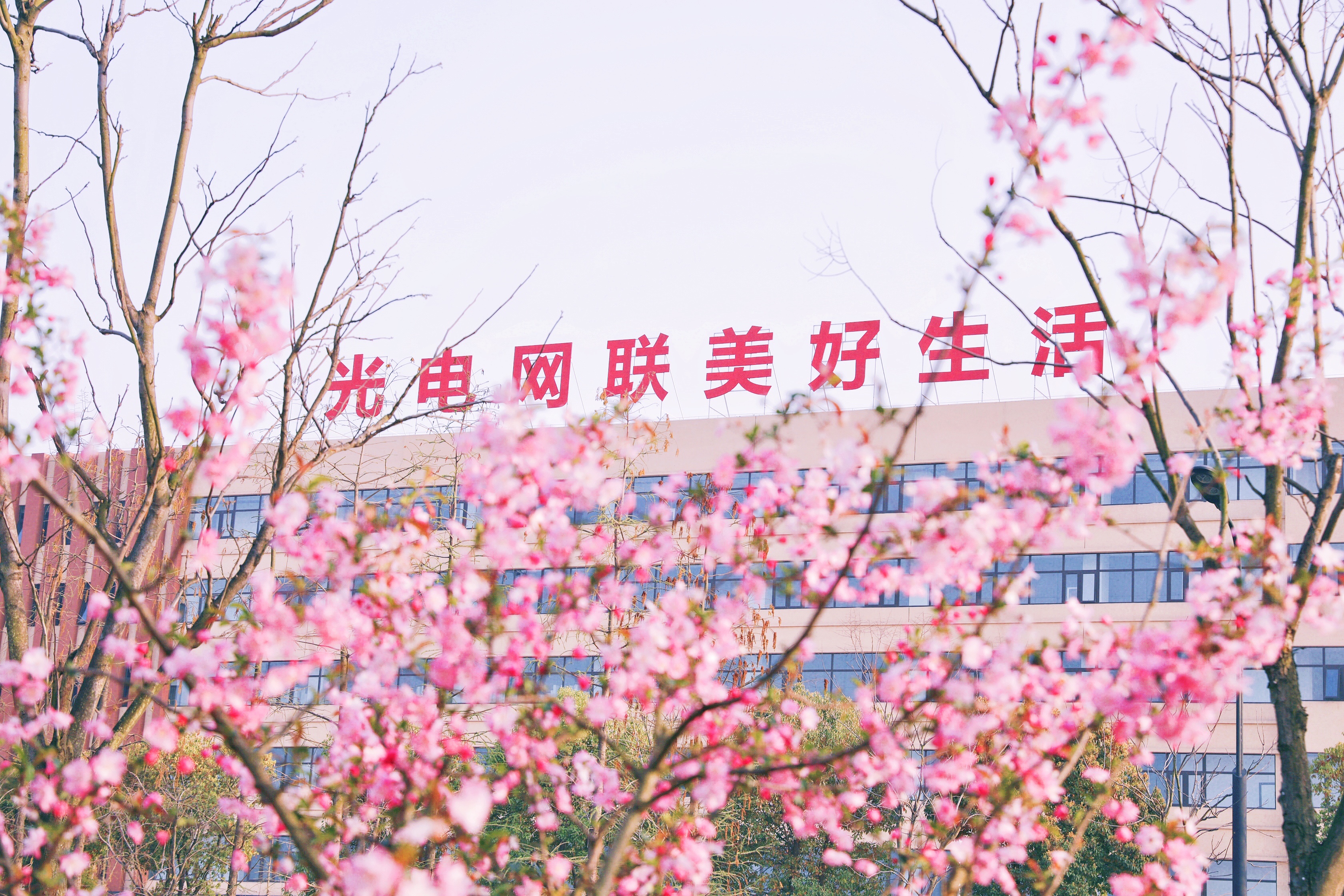 Z6·尊龙凯时「中国」官方网站