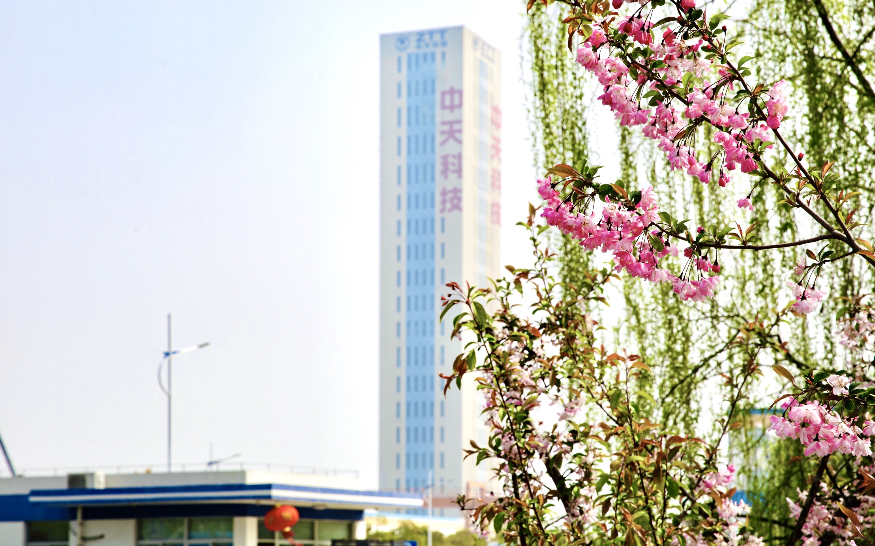 Z6·尊龙凯时「中国」官方网站