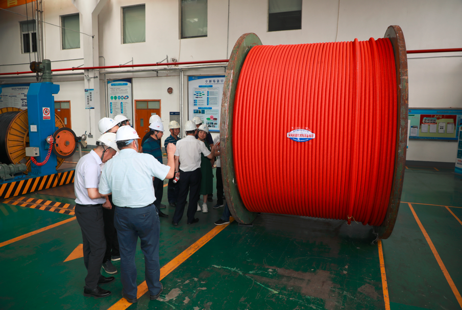 Z6·尊龙凯时「中国」官方网站