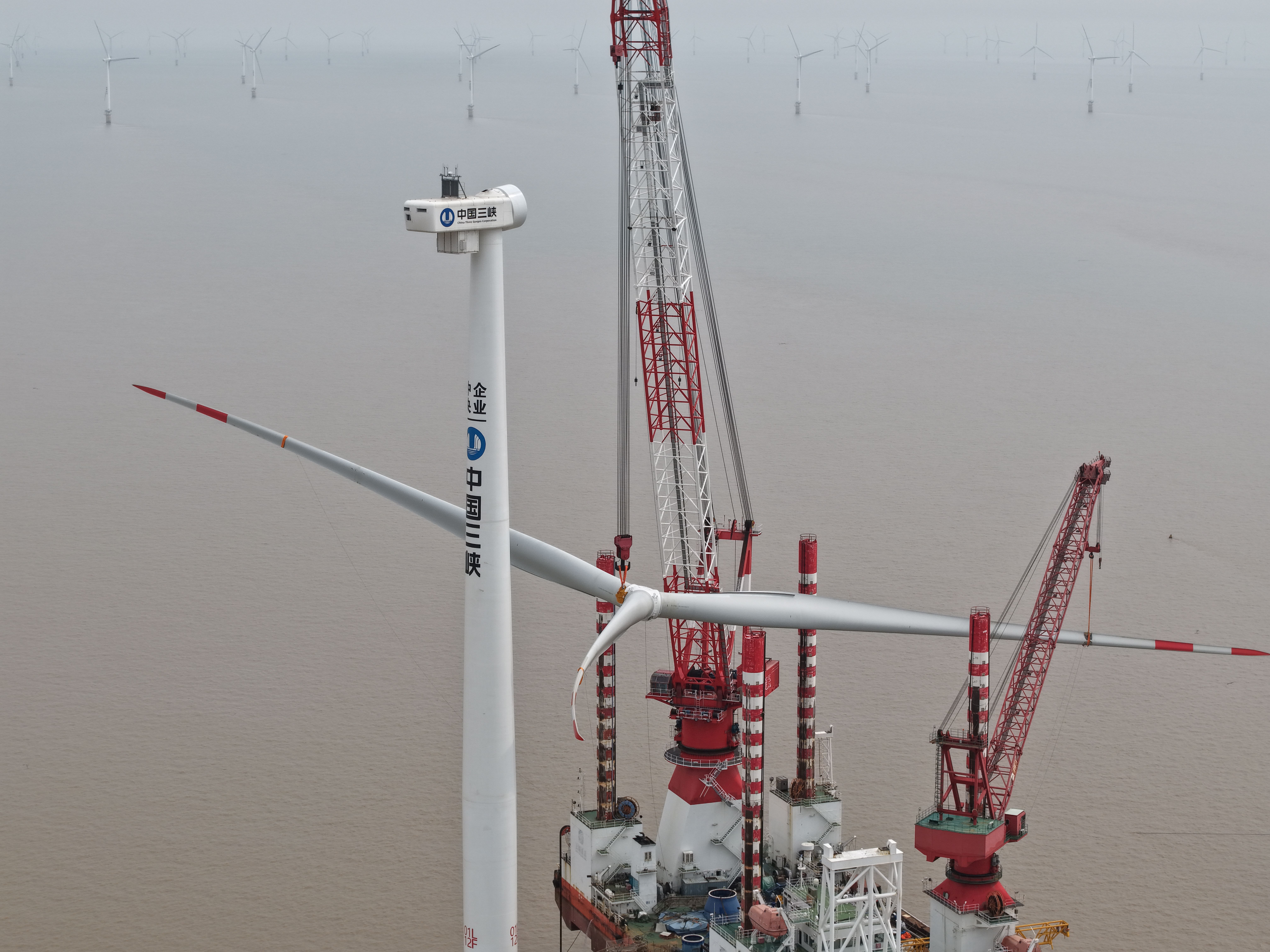 Z6·尊龙凯时「中国」官方网站